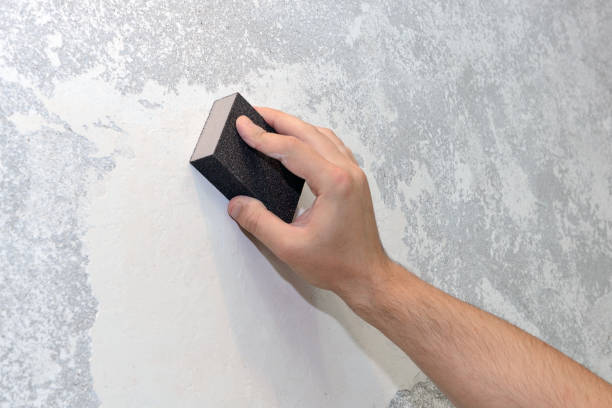 Best Dehumidification Services  in Westfield, MA