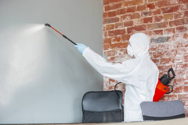 Best Biohazard Mold Removal  in Westfield, MA