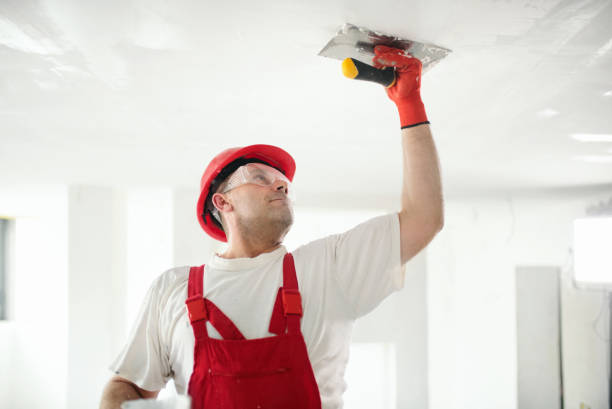 Best Commercial Mold Inspection  in Westfield, MA