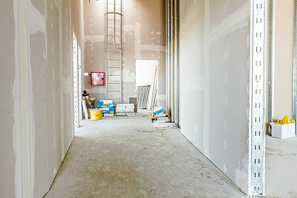 Forensic Mold Investigation in Westfield, MA